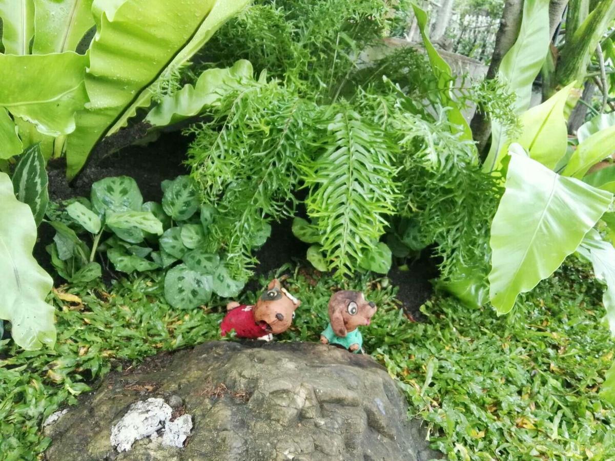 18 In Town Homestay Chiang Mai Luaran gambar