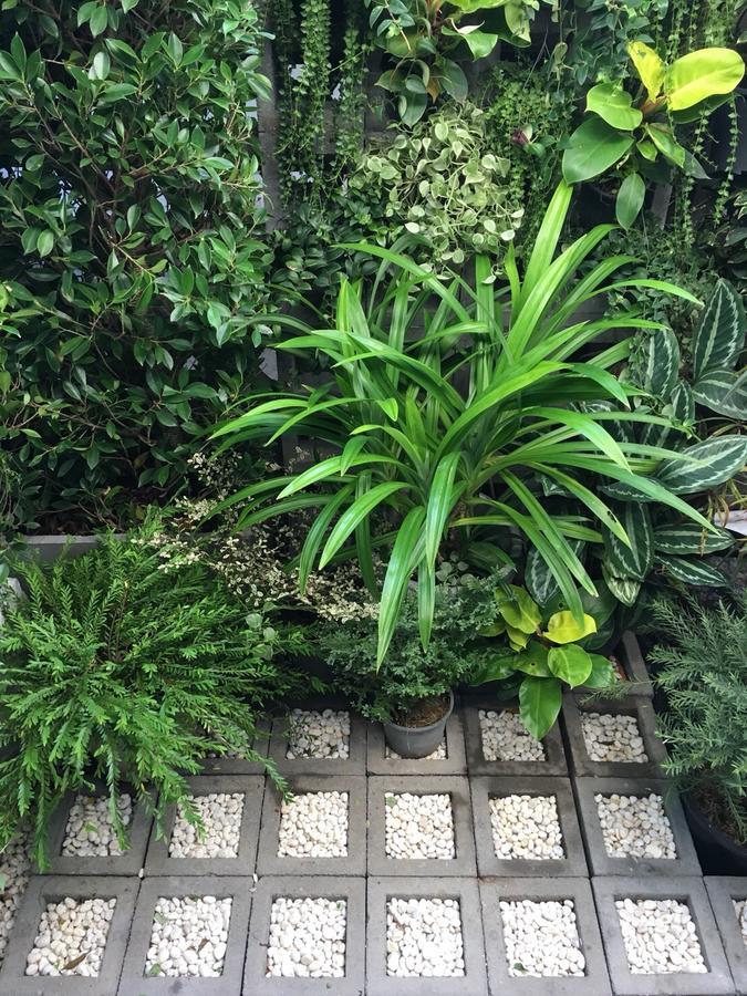 18 In Town Homestay Chiang Mai Luaran gambar