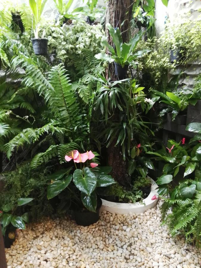 18 In Town Homestay Chiang Mai Luaran gambar